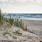 No.1 In Palanga, Vaivorykstes *