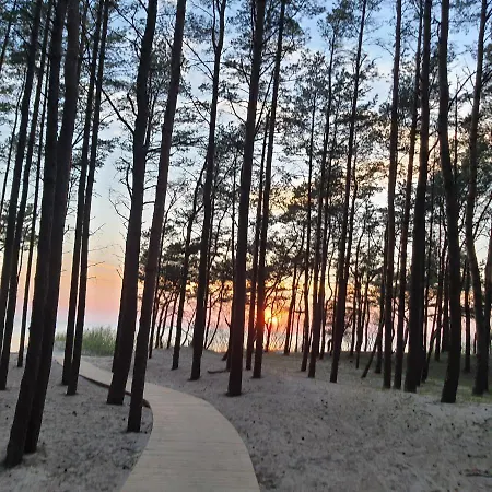 No.1 In Palanga, Vaivorykstes * Połąga