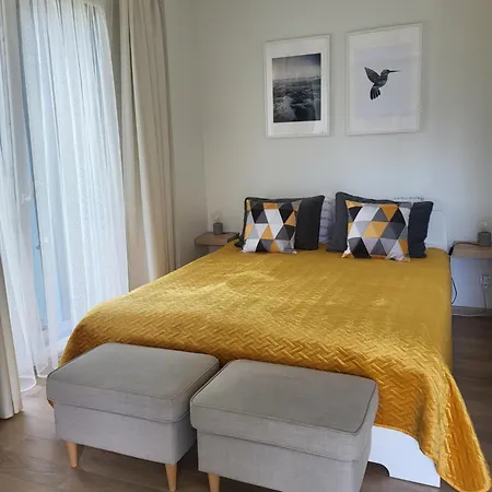 No.1 In Palanga, Vaivorykstes Palanga