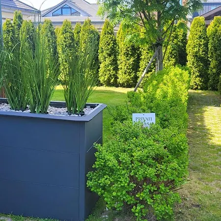 No.1 In Palanga, Vaivorykstes * פלאנגה