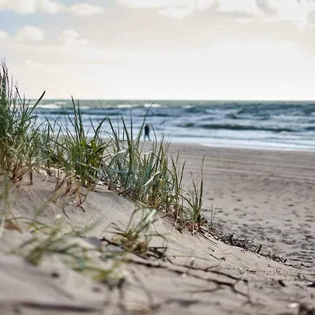 No.1 In Palanga, Vaivorykstes *