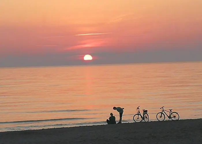 アパート No.1 In Palanga, Vaivorykstes