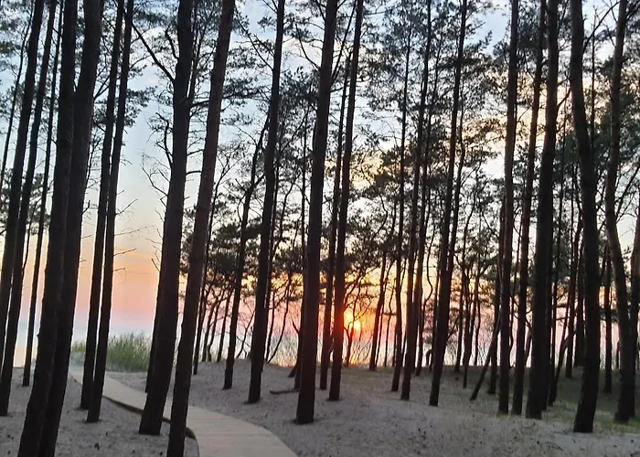 No.1 In Palanga, Vaivorykstes * パランガ