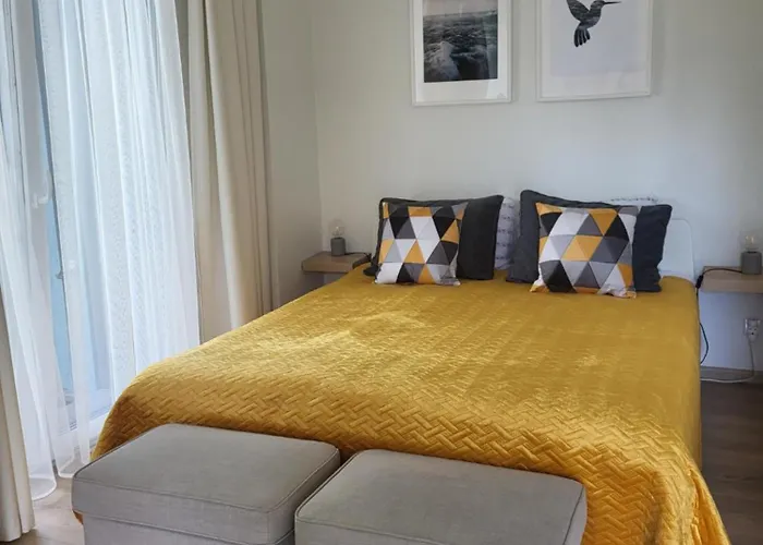 No.1 In Palanga, Vaivorykstes Palanga