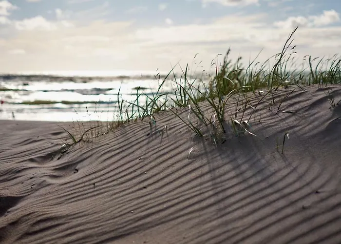 No.1 In Palanga, Vaivorykstes Appartement Palanga