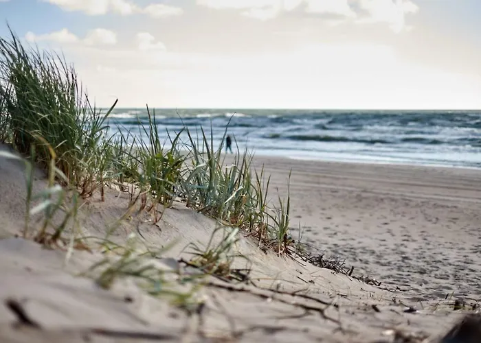 No.1 In Palanga, Vaivorykstes *